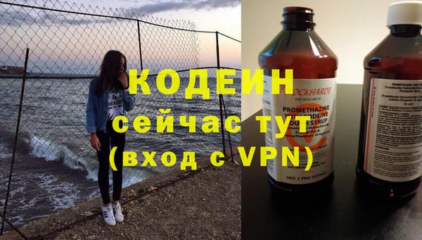 эйфоретик Вяземский