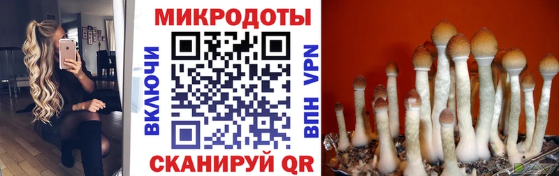 Псилоцибиновые грибы Magic Shrooms  наркота  Норильск 