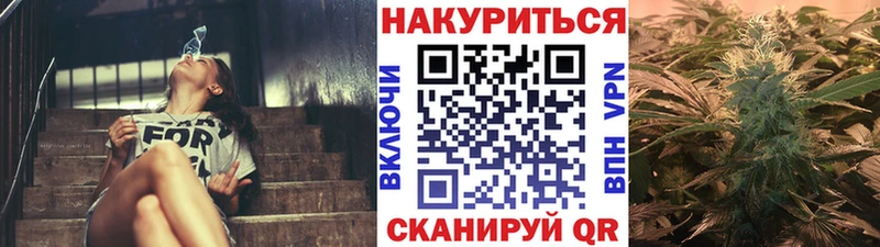 Бошки Шишки гибрид  купить  цена  Норильск 